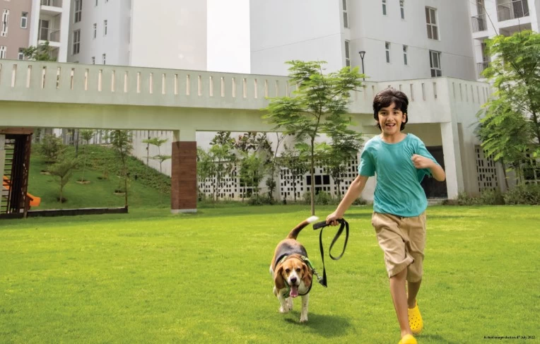 TATA La Vida Gurgaon Sector 113, Dwarka Expressway gallery photo